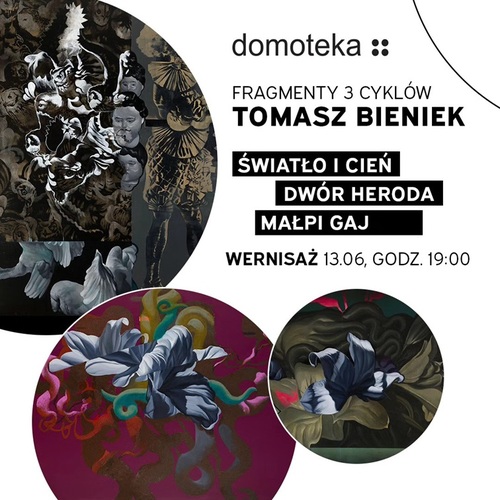 Wystawa Tomasza Bieńka w Domotece - Uchwycić to, co nieuchwytne.